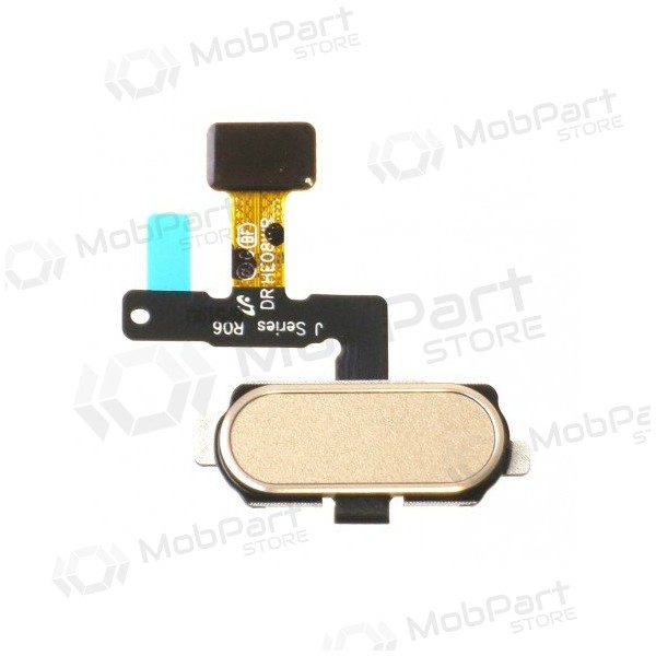 Samsung J530F Galaxy J5 (2017) / J730F Galaxy J7 (2017) Conector do botão HOME (dourado)